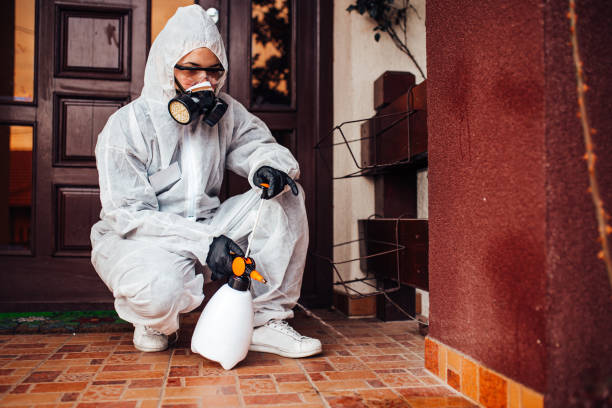 Reliable Ant Control contractor in Somerville, MA by Nex Pest Control